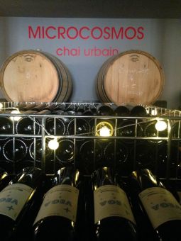 marseillefaitmaison-marseille-fait maison-vin-microcosmos-vignes-chai-vin parcellaire-vinification-provence-roussillon-tonneaux-chai urbain